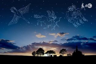 十二星座desirable指数是什么意思(配对指数是什么意思,星座组合的配对指数分别是多少 )