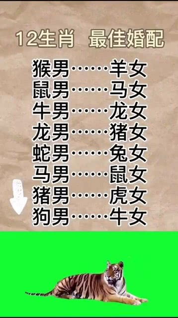 属相马的最佳婚配属相(属马的属相婚配表 )
