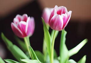 五格数理最好的(五格吉数)