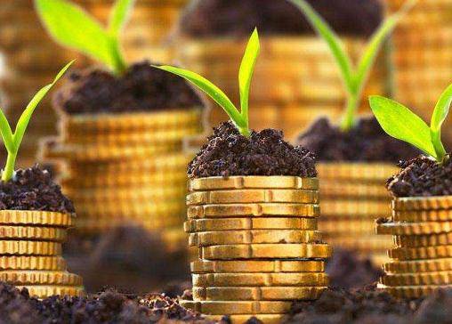 姓名数理有15的特点(姓名中蕴含的财运信息 )