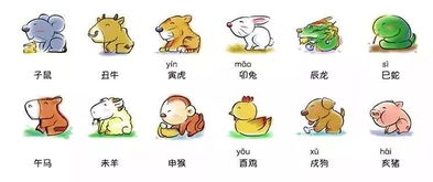 待字闺中最佳生肖属相配对(女子闺房在十二生肖里面是什么意思 )