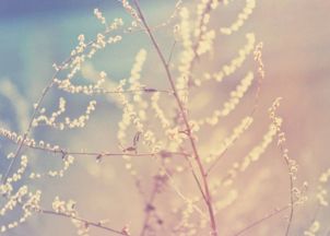 数理53吉凶(1 81数理是什么意思 )