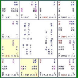 妈宝男紫微命盘(妈宝男的八字什么特点 )