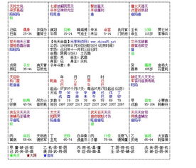 什么叫飞宫紫微斗数(我想知道紫微斗数是什么)