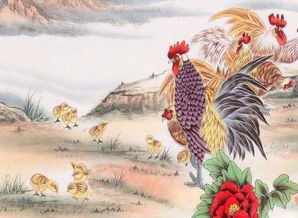 属鸡生肖配偶属相(属鸡配什么属相好)