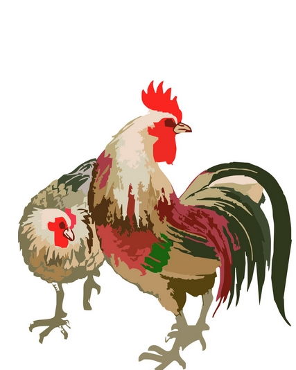 姻缘配对马与鸡(属马的和属鸡的婚姻怎么样)