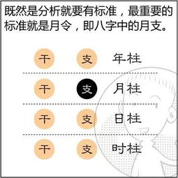 免费算命八字分析四柱(四柱八字命局分析详解,如何分析八字命局)