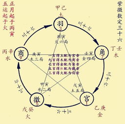 八字有四柱怎么算命(如何看四柱八字)