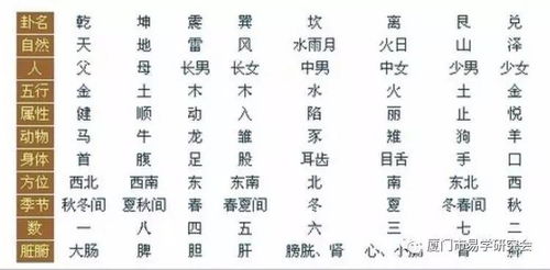 八字算命怎么理解(科学怎么解释八字算命)