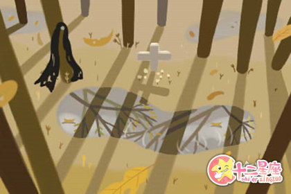 八字算命看星宿准吗女性(算命可信吗 )