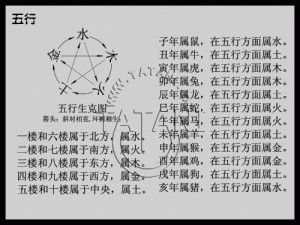 八字算命自学视频教学(八字算命怎么学)