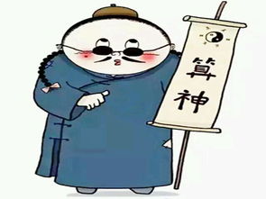 初学者的八字算命(如何看八字的基本步骤,八字的步骤是什么    )