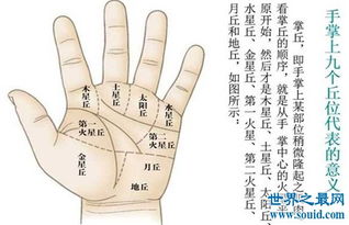 卜易居算命网八字命理(卜易居算命网怎么样)