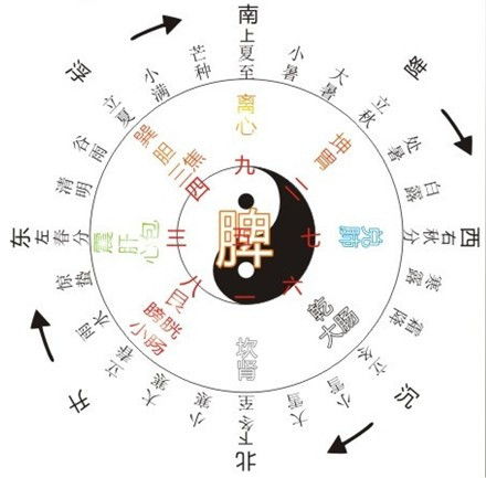 古人八字怎么排卦算命视频(如何理解四柱八字,如何排四柱八字)