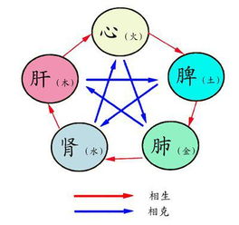 如何快速学八字算命(如何学习八字预测 要学多久才能算命 )