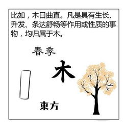 学八字画阴阳算命(八字算命怎么学)