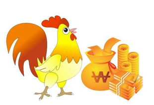 属鸡人八字算命准吗男(八字算命可信吗 )