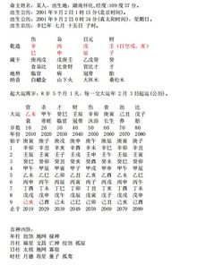 怎么弄懂八字命格算命的人(四柱八字命局分析详解,如何分析八字命局)