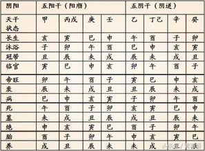 易学八字算命基础知识大全(四柱八字入门)