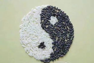 生辰八字测算命几钱(一般算命给多少钱合适)