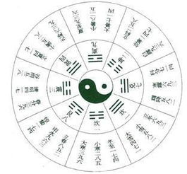 盲派八字算命讲解大全集(盲派高级命理断命技巧)