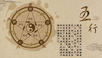 算命为何生肖合八字不合(属相不合八字也不合吗,八字不合,生肖相冲不能在一起吗)