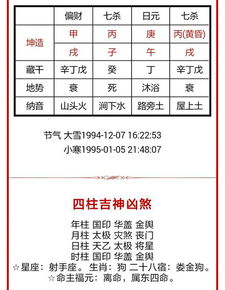 算命八字排盘软件看格局(专业四柱八字排盘软件,最精准的三款软件 )