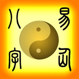 算命八字能全信吗(算八字能信吗 )