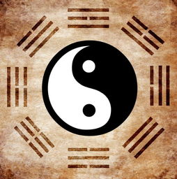 算命算八字不合的人(什么叫八字不合适,八字不合的人在一起会怎样)