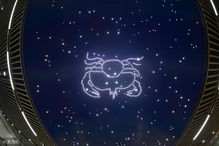 一个星座最佳配对星座(12星座最佳夫妻配对)