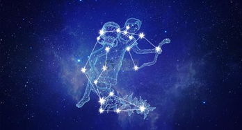 七宫水瓶座配对星座(水瓶座女孩和什么星座最配)