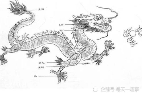 两人生肖配对分析(十二生肖正确的婚姻配对大全,十二生肖配对)