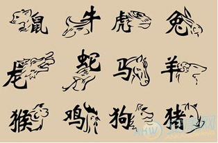 乐观的生肖配对(属兔人的生肖属相婚配配对 )