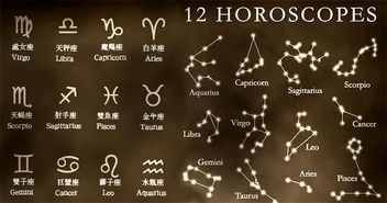 今晚月亮星座配对(月亮星座配对查询表)