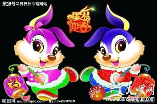 兔生肖宝宝配对表(属兔配对什么生肖更好,生肖属兔几月出生好)