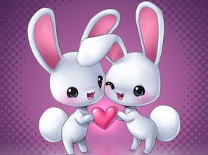 兔男生肖最配对(生肖兔男的最佳配偶)