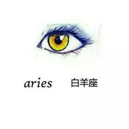 十二星座眼睛的配对图(十二星座的眼睛)