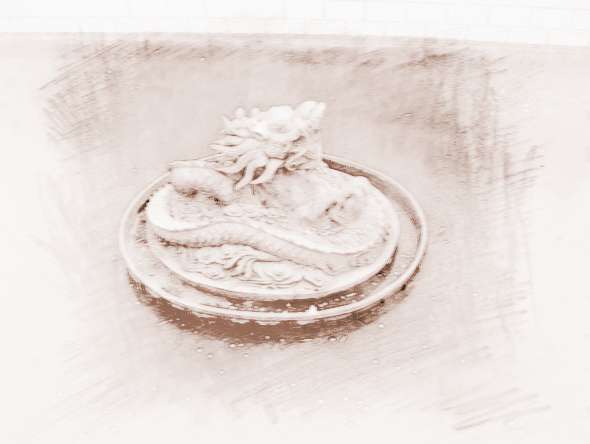 十二生肖女龙和谁配对(属龙女找什么属相最好)