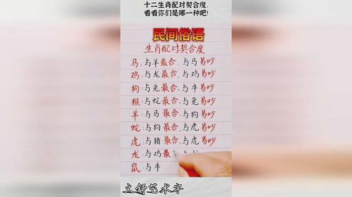 十二生肖姓名契合度配对(免费姓名属相配对,属相配对查询)