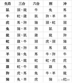 十二生肖婚配对照表(十二属相婚姻配对表)