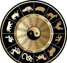 周易八卦八字合婚(八字合婚准么,八字合婚可信吗 )