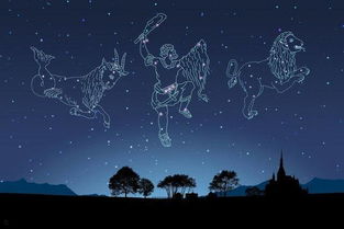 天蝎摩羯十二星座配对(天蝎座配摩羯座好,还是金牛座配摩羯座好)