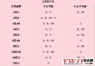 夫妻星座血型配对表(求星座和血型对照表,感谢 )