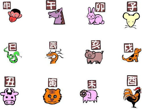 婚姻生肖配对鼠和鼠(鼠和鼠的属相适合做夫妻吗鼠跟鼠生肖做夫妻好吗)