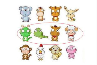 婚姻配对十二生肖(十二生肖正确的婚姻配对大全,十二生肖配对)