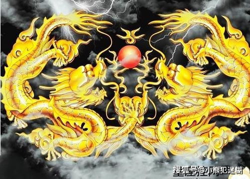 实际上如胶似漆的生肖配对(如胶似漆的生肖)