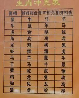 寅是什么生肖配对最好(寅时的鼠配什么生肖最好)