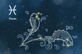 射手座和王者星座配对(射手座和各个星座的配对指数  )