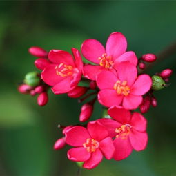 射手座女生性格配对星座男生(射手女与什么星座的男性相配)