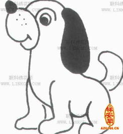 属狗禁忌什么生肖配对(狗婚配属相禁忌,属相是狗的不能和什么属相的在一起)